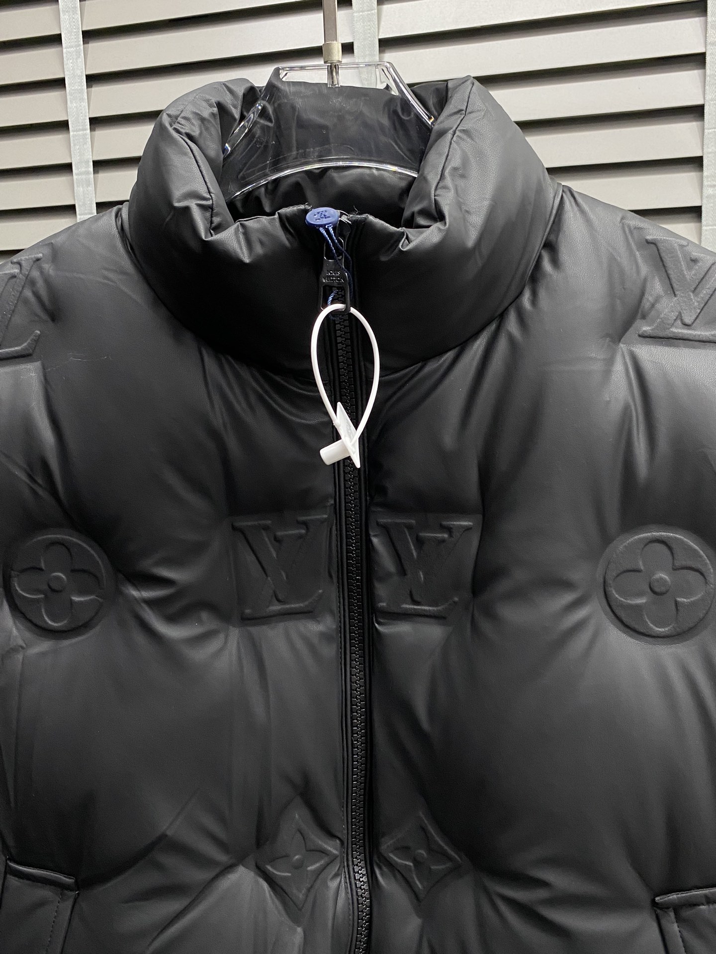 Louis Vuitton Down Jackets